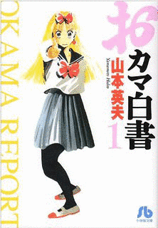 おカマ白書の画像