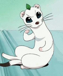 オコジョさんの画像