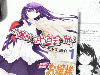 お嬢様は武道会で踊るの画像