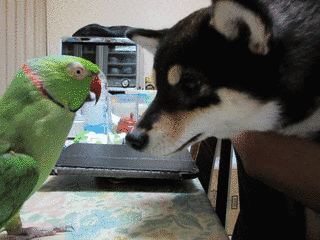 おはよ♪の画像