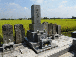 本因坊烈元の画像