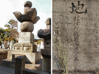 黒田吉之の画像