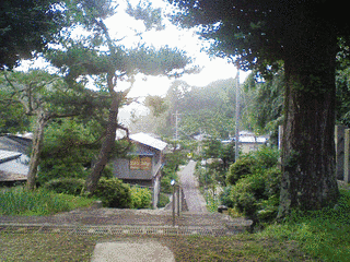 松下豊綱の画像