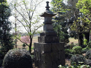 船橋随庵の画像