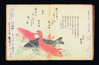 西沢一鳳の画像