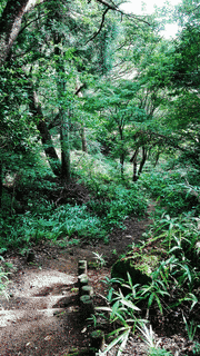 藪井星池の画像