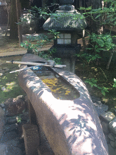 石束毎雅の画像