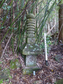 伊東祐秋の画像