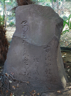 金子万嶽の画像