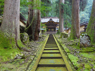 松平信正の画像