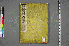 高谷龍洲の画像