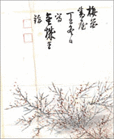 鼎金城の画像