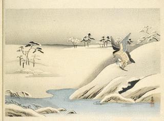 狩野友信の画像