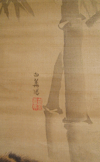 白井華陽の画像