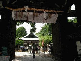 白峰易祇の画像