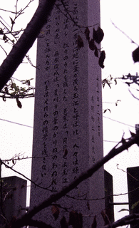 芦郷の画像