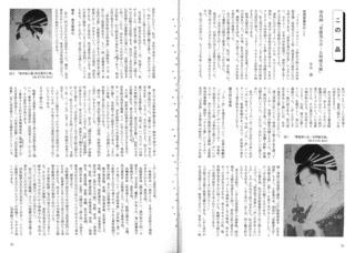 栄烏の画像