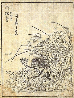 鳥山石燕の画像