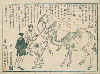 丹羽桃渓の画像