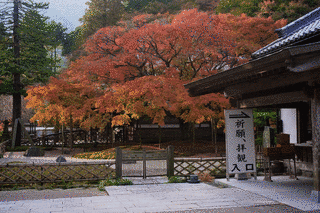 百寿雷山の画像