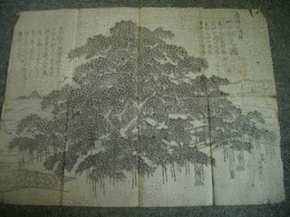 福智白瑛の画像