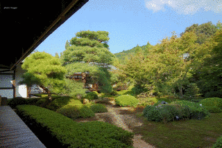 水尾龍淵の画像