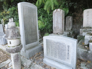 新宮凉園の画像