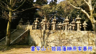 榊原政殊の画像