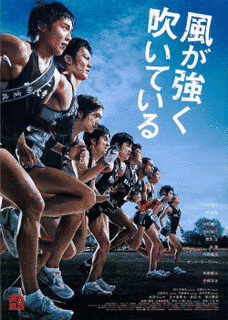 風が強く吹いているの画像