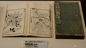 杉原正邦の画像