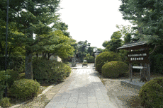 藤井彦四郎の画像