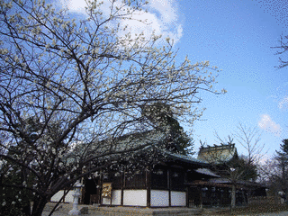 柳沢安忠の画像