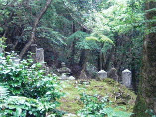上野忠親の画像