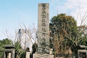 藤井希璞の画像