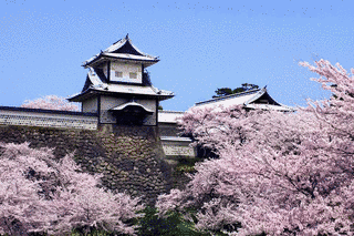 石川総禄の画像
