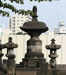 徳川寿千代の画像
