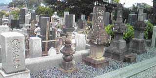 内藤頼直の画像
