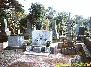 松平直温の画像