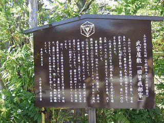 松平信宝の画像