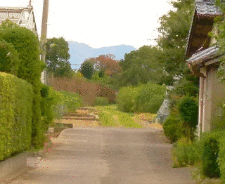 林田守隆の画像