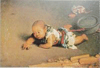 渡辺幽香の画像