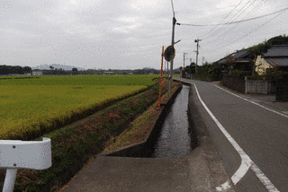 菊池淡水の画像