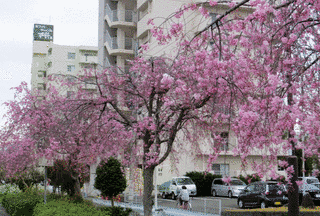 遠藤庸治の画像