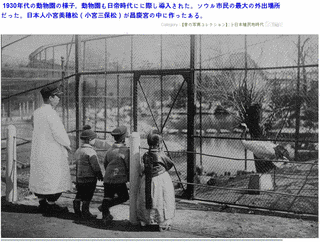 小宮三保松の画像