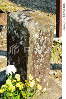 菊池央の画像