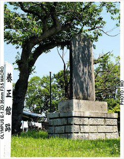 山野辺義芸の画像