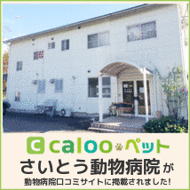 斎藤高行の画像