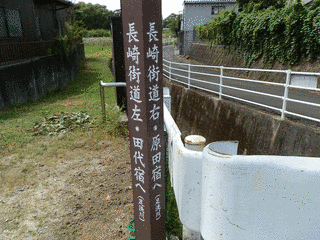 中村円太の画像