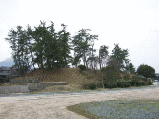 松波徹翁の画像