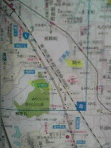橋本実麗の画像